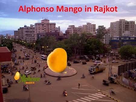 Alphonso Mango Online Rajkot - AlphonsoMango.in
