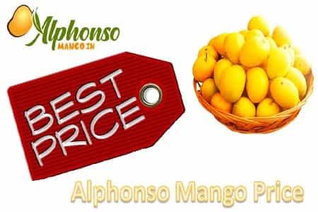 Alphonso Mango price 2024