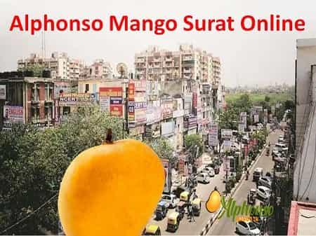 Alphonso Mango Surat Online - AlphonsoMango.in