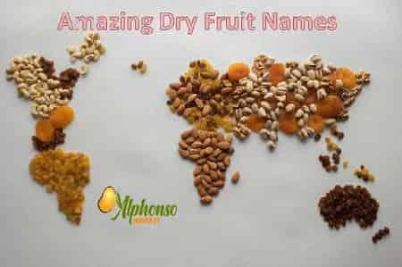 Amazing Dry Fruit Names - AlphonsoMango.in