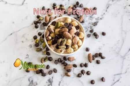 Amazing Healthy Nuts for Protein - AlphonsoMango.in