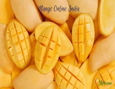 Mango Online India - AlphonsoMango.in
