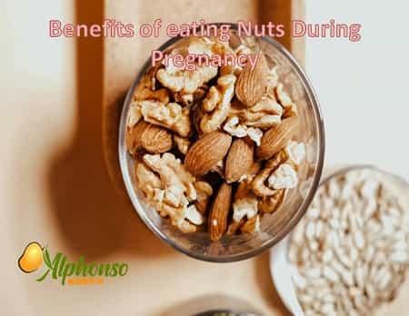 Benefits of Eating Nuts During Pregnancy? - AlphonsoMango.in