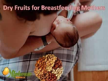 Best Dry Fruits for Breastfeeding Moms - AlphonsoMango.in