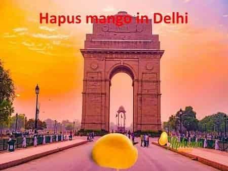Hapus mango in Delhi - AlphonsoMango.in