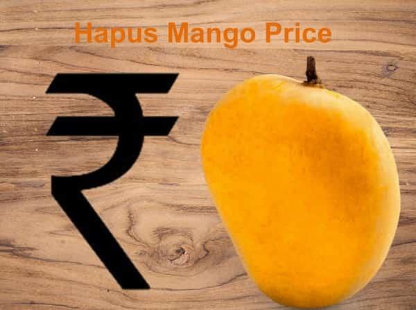 Best Hapus Mango Price Online: Exclusive Deals