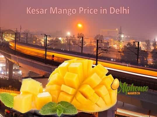 Kesar Mango Price in Delhi - AlphonsoMango.in