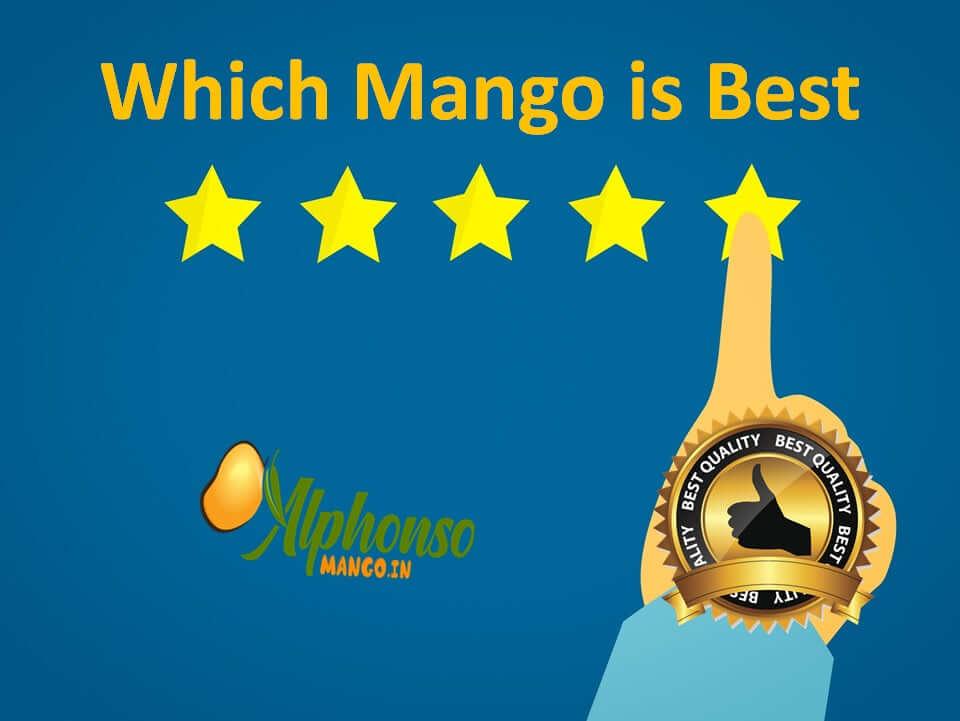 which mango is best - AlphonsoMango.in