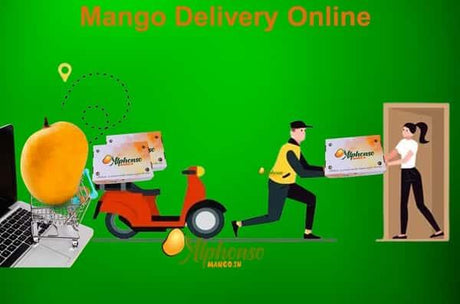 Best Quality Mango Delivery Online: Order Now - AlphonsoMango.in