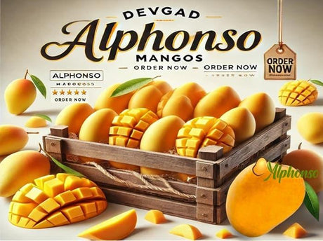 Best Website to Buy Devgad Alphonso Mangoes