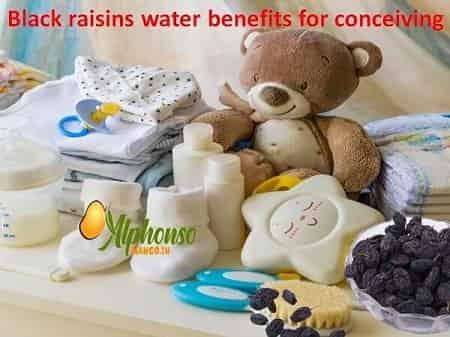 Black raisins water benefits for conceiving - AlphonsoMango.in