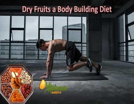 Body Building Diet - AlphonsoMango.in