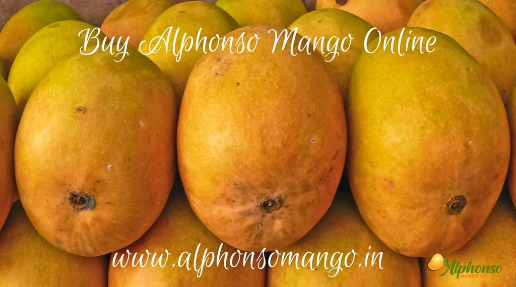 buy alphonso mango online - AlphonsoMango.in