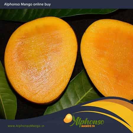 Buy Alphonso Mangoes Online - Alphonso Mangoes online Mumbai - AlphonsoMango.in