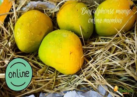 Buy Alphonso Mango Online Mumbai - AlphonsoMango.in