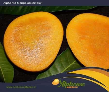 Buy Fresh Premium Alphonso Mangoes Online - AlphonsoMango.in