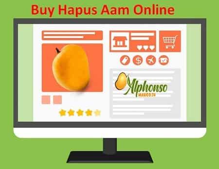 Buy Hapus Aam online - AlphonsoMango.in