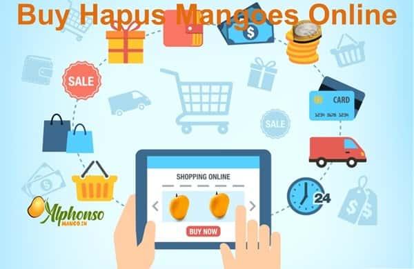 Buy Hapus Mangoes Online