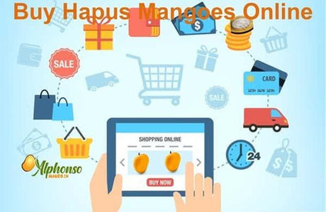 Buy Hapus Mangoes Online