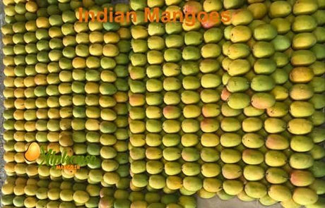 Buy Indian Mangoes Online: Fresh and Juicy Delivered - AlphonsoMango.in