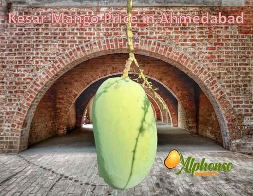Buy Kesar Mangoes Online in Ahmedabad - AlphonsoMango.in