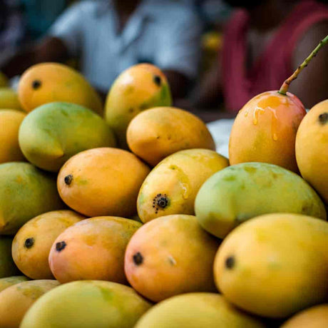 Buy Mango In Borivali - AlphonsoMango.in