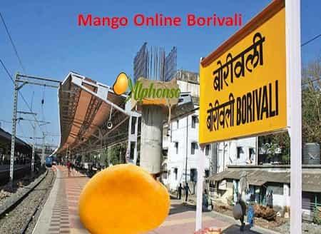 Buy Mango In Borivali - AlphonsoMango.in