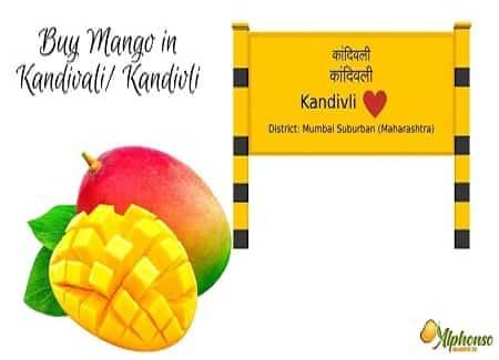 Buy Mango in Kandivali - AlphonsoMango.in