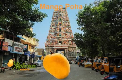 Buy Mango Online in Chennai | Best Price and Quality - AlphonsoMango.in