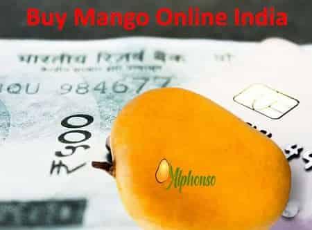 Buy Mango Online India - AlphonsoMango.in