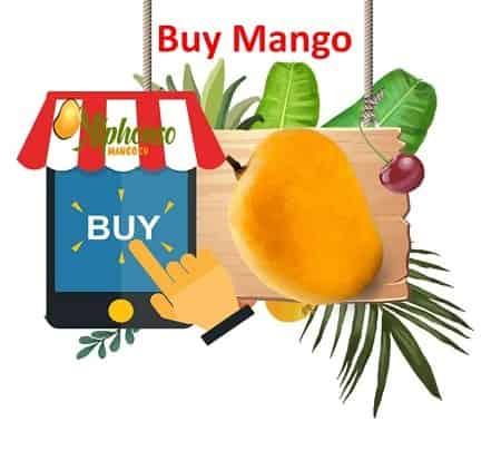 Buy Mangoes Alphonso, Hapus, Kesar - AlphonsoMango.in