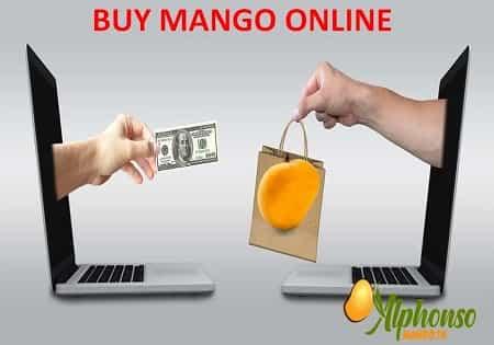 Buy Mangoes Online - Buy Mango Online - AlphonsoMango.in