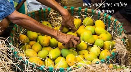 Buy Mangoes Online Mumbai - AlphonsoMango.in