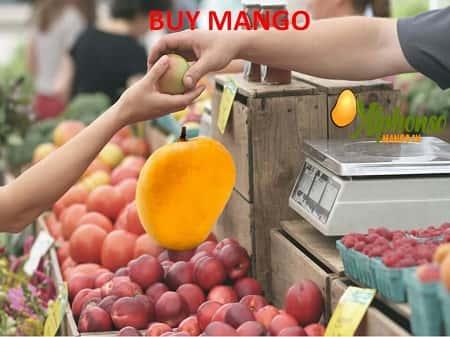 Buy Mango - AlphonsoMango.in