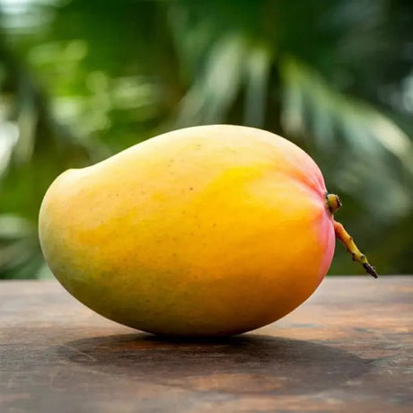 Buy Mangos Online: Fresh & Delicious Delivery - AlphonsoMango.in