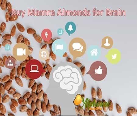 Buy Nutritious Mamra Almond Online - AlphonsoMango.in
