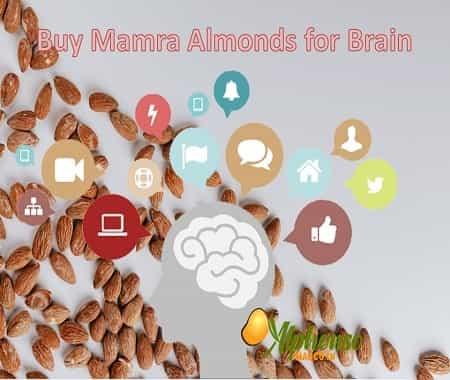 Buy Healthy and Nutritious Mamra Almond Online Today - AlphonsoMango.in