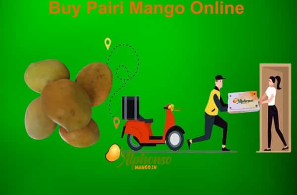 Buy Pairi Mango Online