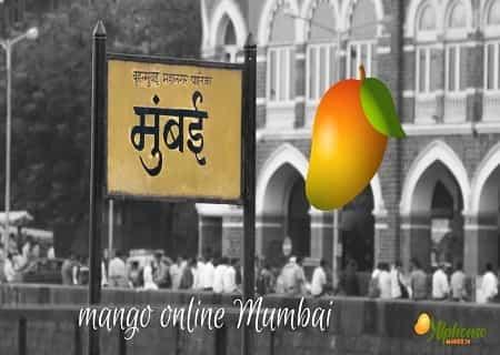 Mango Online Mumbai - AlphonsoMango.in