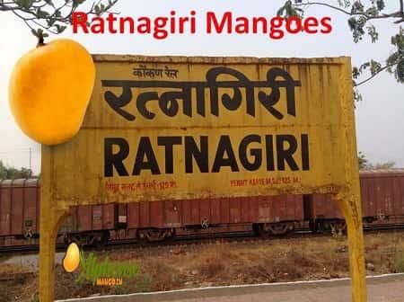 Buy Ratnagiri Mangoes - AlphonsoMango.in
