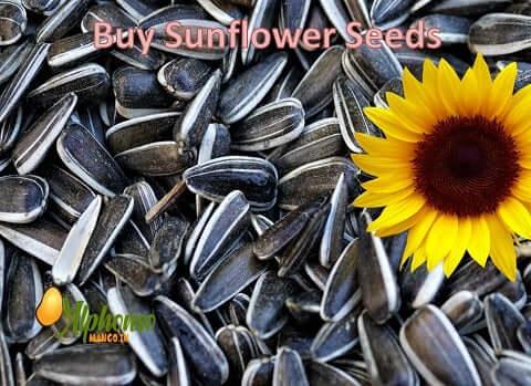 Buy Sunflower Seeds online at best price - AlphonsoMango.in