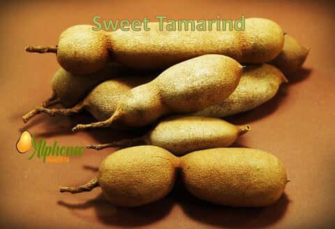 Buy Sweet Tamarind Online - AlphonsoMango.in