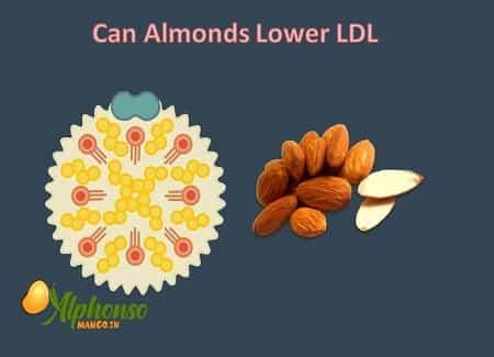 Can Almonds Lower LDL - AlphonsoMango.in