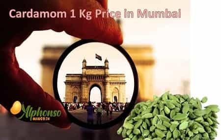 Cardamom 1 Kg Price in Mumbai - AlphonsoMango.in