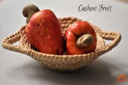 Cashew Fruit from Goa & Konkan - AlphonsoMango.in
