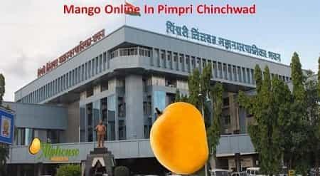 Convenient Online Mangoes Delivery in PCMC - AlphonsoMango.in