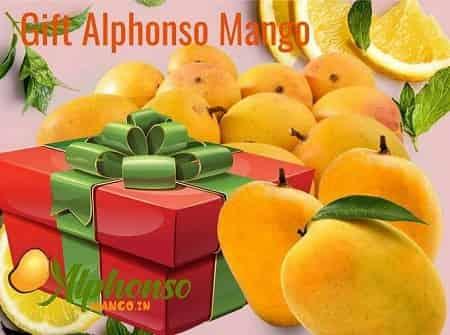 Corporate Gift of Alphonso Mango - AlphonsoMango.in