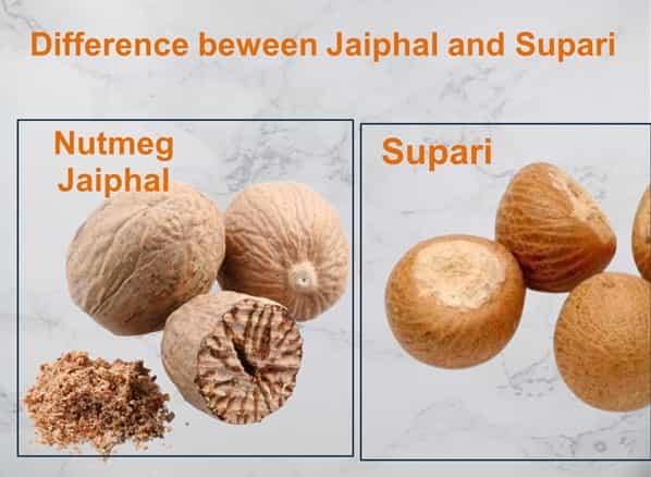 Difference between Jaiphal and Supari 