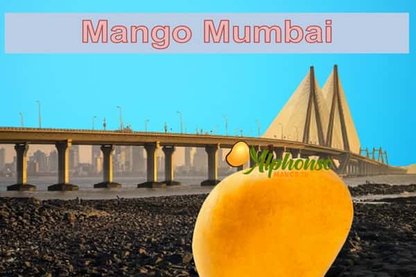 Mango Mumbai