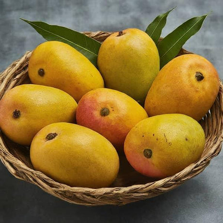 Discover the Best Ratnagiri Hapus Store Online - AlphonsoMango.in